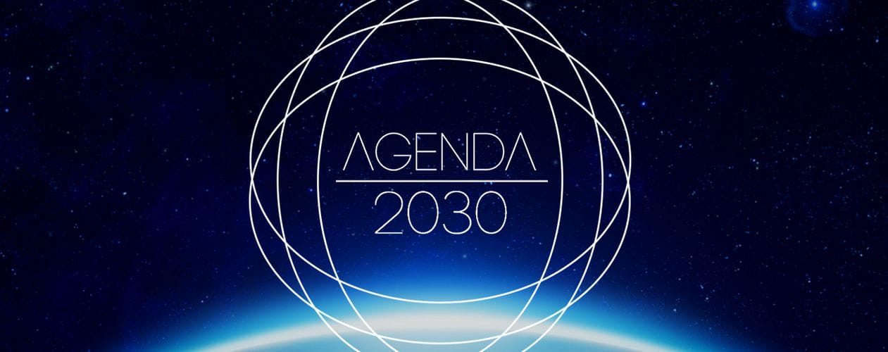 Agenda 2030: You'll Own Nothing And Be Happy – winepressnews.com