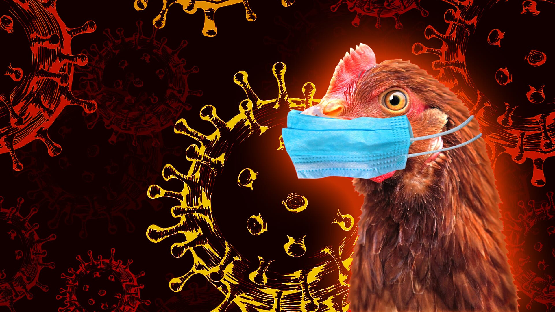 Former CDC Director Redfield Warns The ‘Great Pandemic’ Of Bird Flu Is ...